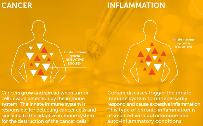 1567738861238951.jpg 1567739407(1).jpg