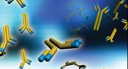 1641276445396082.jpg 微信圖片_20220104140617.jpg