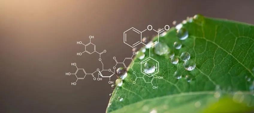 1641276459672808.jpg 微信圖片_20220104140623.jpg