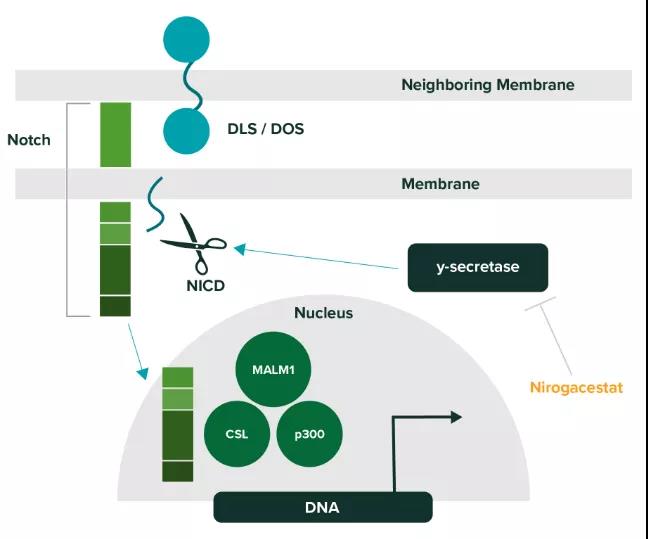 1641451803156768.jpg 微信圖片_20220106144850.jpg