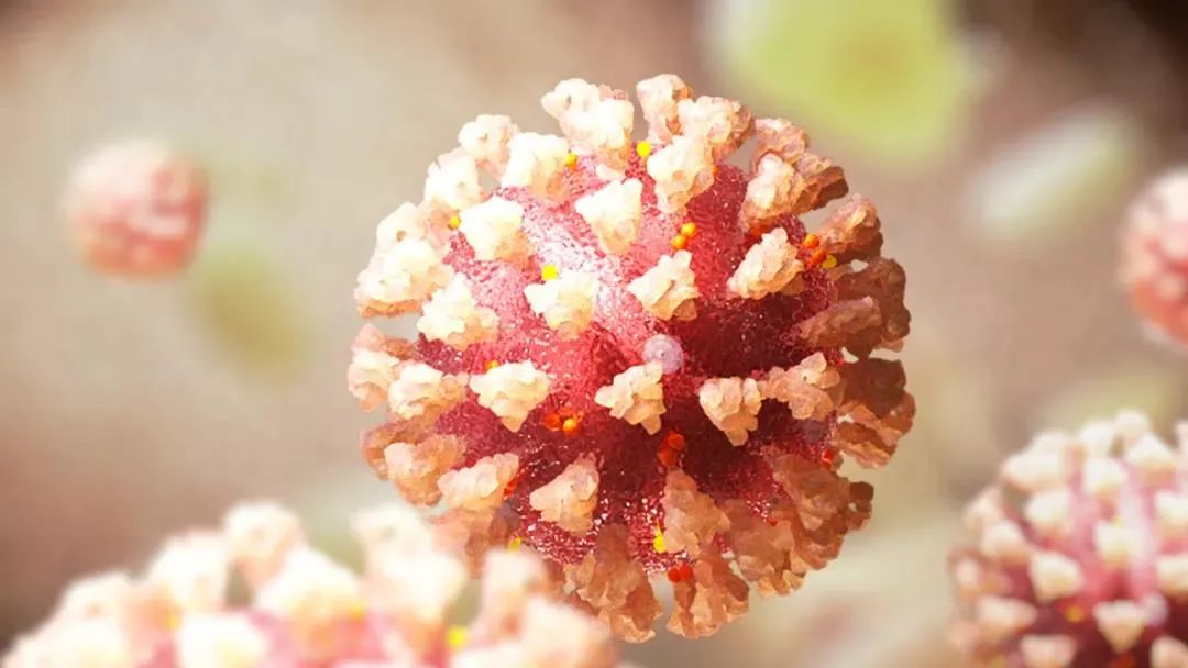 1645688884761760.jpg 微信圖片_20220224154732.jpg