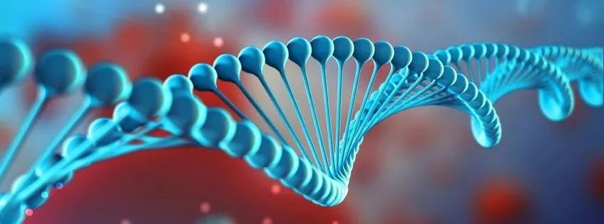 1646203867922165.jpg 微信圖片_20220302145056.jpg