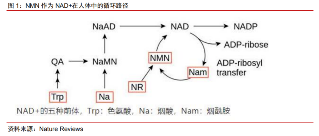 1684139242795071.png 微信圖片_20230515162622.png